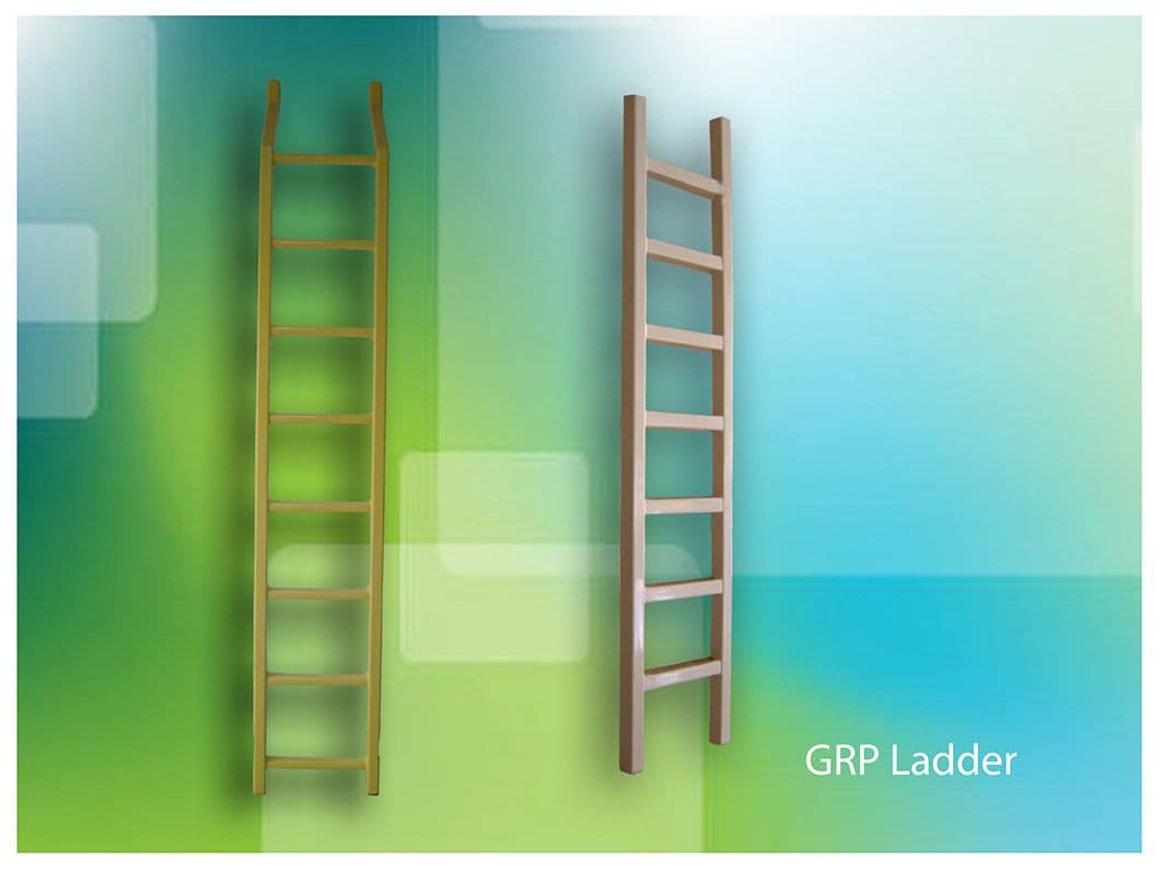 15.LADDER-2_.jpg